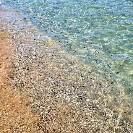 цар калоян *